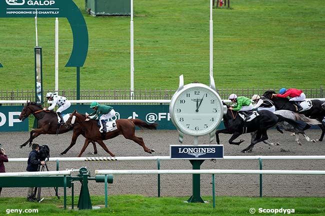 28/10/2024 - Chantilly - Prix du Poncel : Arrivée