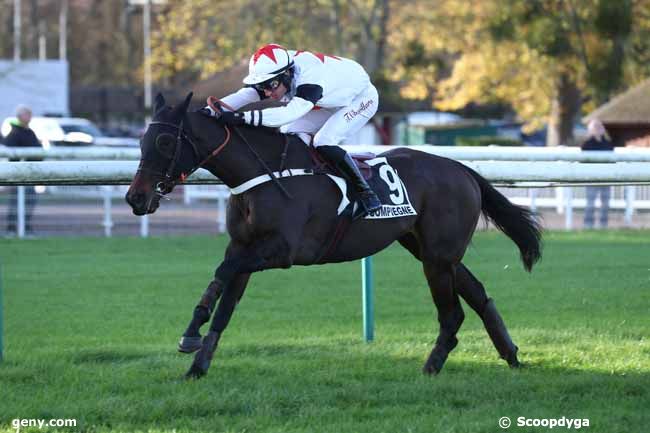 29/11/2024 - Compiègne - Prix de Craon : Arrivée