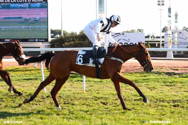 30/12/2024 - Cagnes-sur-Mer - Prix de Glasgow : Arrivée