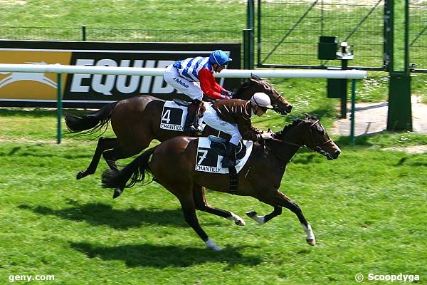 13/05/2008 - Chantilly - Prix du Premier Pas : Arrivée