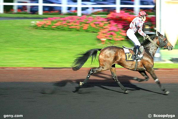 03/06/2008 - Vincennes - Prix Perseus : Arrivée