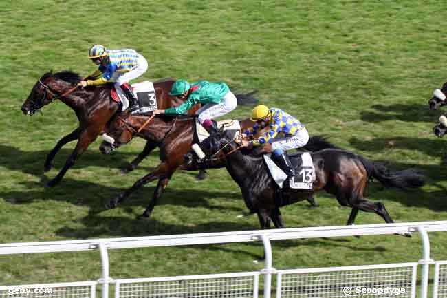 26/07/2009 - Maisons-Laffitte - Prix de Gournay en Bray : Ankunft