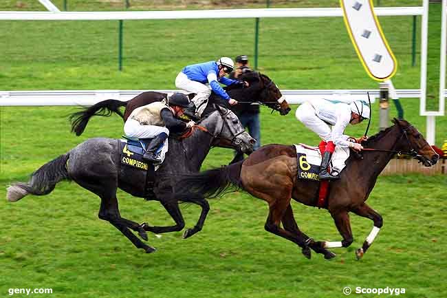 17/11/2009 - Compiègne - Prix de Marest sur Matz : Arrivée