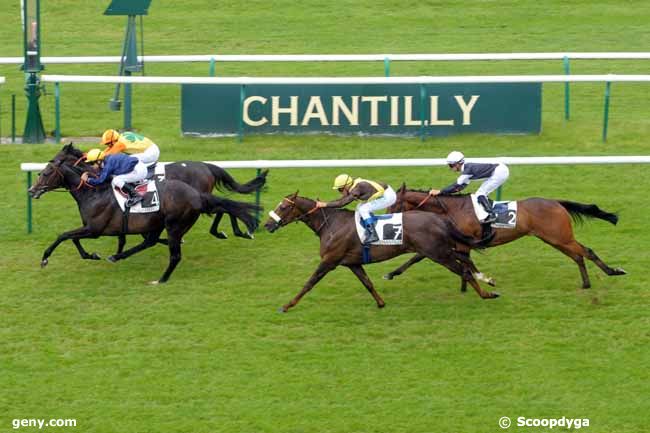 26/05/2010 - Chantilly - Prix Dominique Giniaux : Arrivée