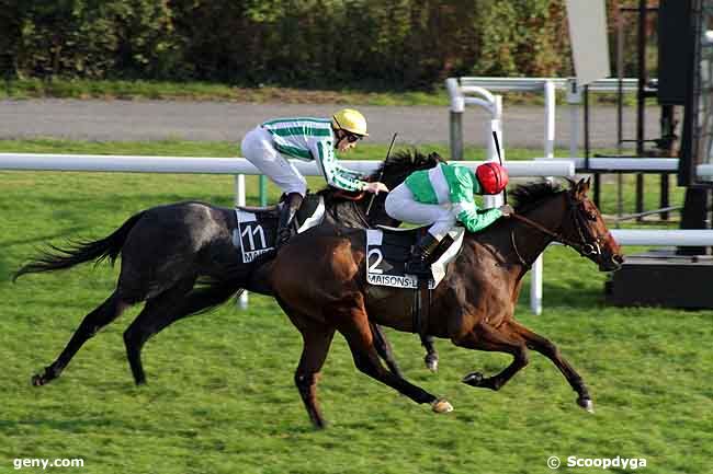 10/11/2011 - Maisons-Laffitte - Prix Taboun : Arrivée