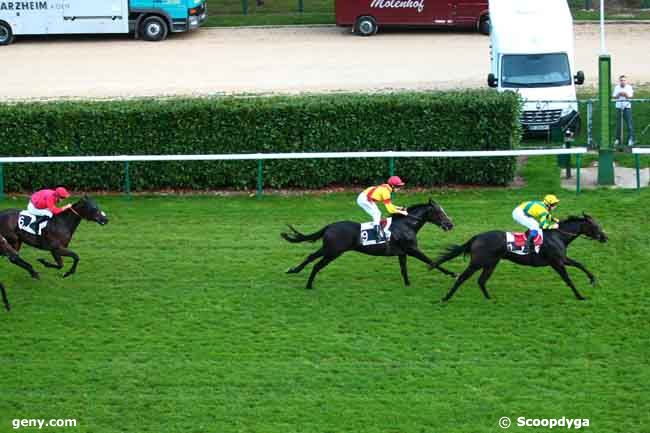 02/10/2013 - Chantilly - Prix des Soixante Arpents : Arrivée