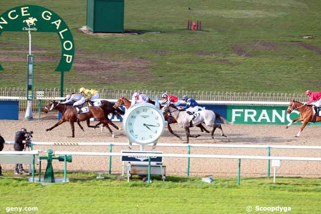 02/03/2017 - Chantilly - Prix du Terrain des Spahis : Arrivée