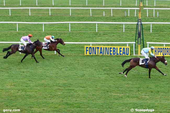 09/03/2017 - Fontainebleau - Prix du Club des Gentlemen-Riders et des Cavalières : Result