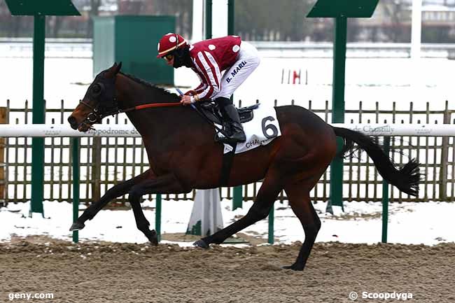 31/01/2019 - Chantilly - Prix du Rond du Manège : Arrivée