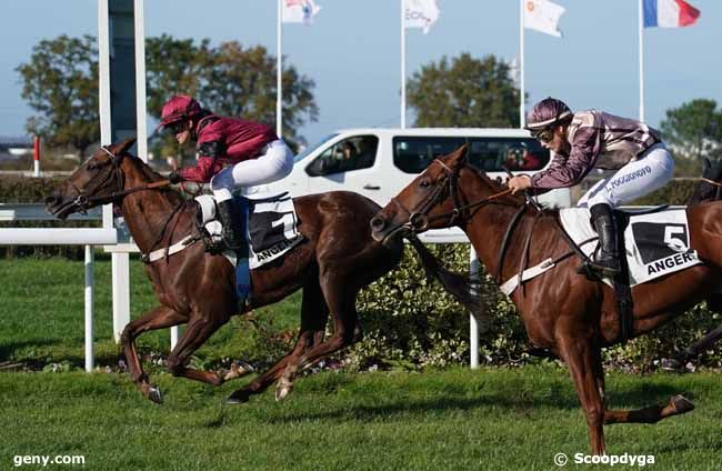 13/11/2019 - Angers - Prix Lord Magique : Result