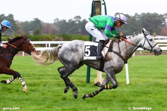18/11/2019 - Fontainebleau - Prix Colonel Beaujean : Result