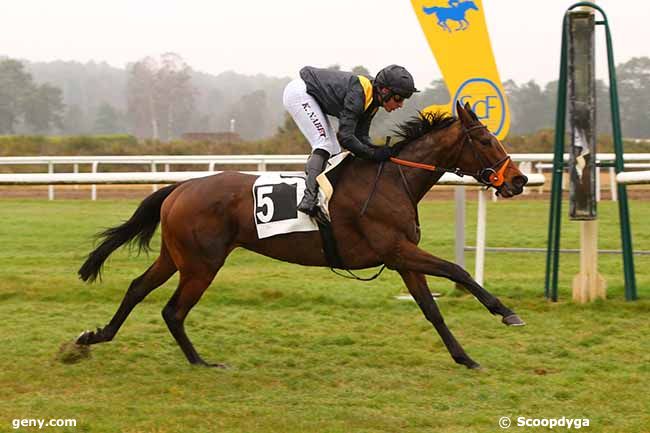 15/03/2022 - Fontainebleau - Prix Colonel Lapadu-Hargues : Arrivée