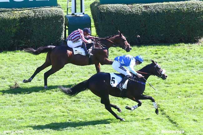 04/10/2022 - Auteuil - Prix Fezensac : Result