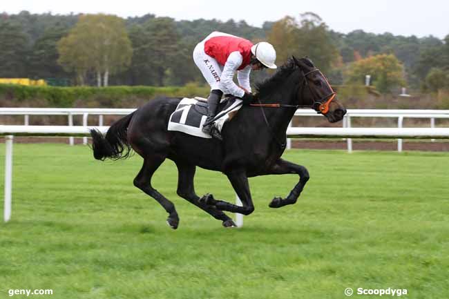 15/11/2022 - Fontainebleau - Prix Gautier de la Selle : Arrivée