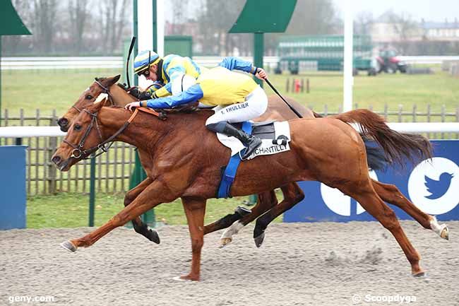 11/02/2023 - Chantilly - Prix du Carrefour de Cormier : Arrivée