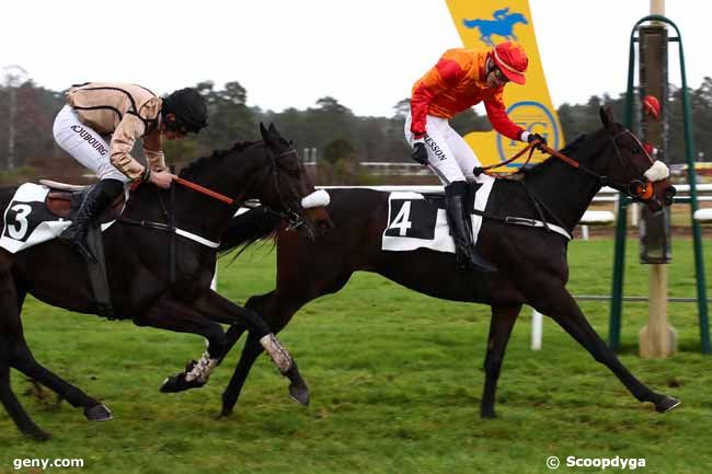 12/12/2023 - Fontainebleau - Prix Baron Geoffroy de Waldner : Arrivée