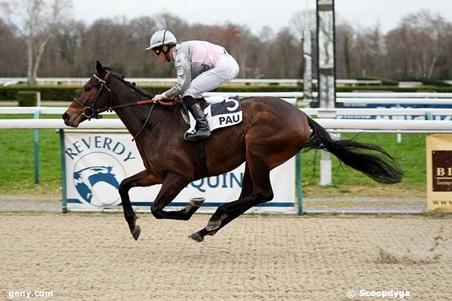 02/01/2024 - Pau - Prix d'Ogeu-les-Bains : Arrivée