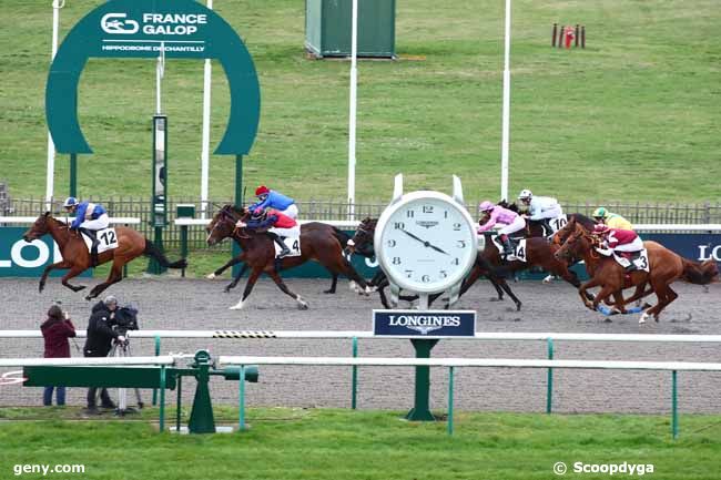 16/02/2024 - Chantilly - Prix Roger Poincelet : Arrivée