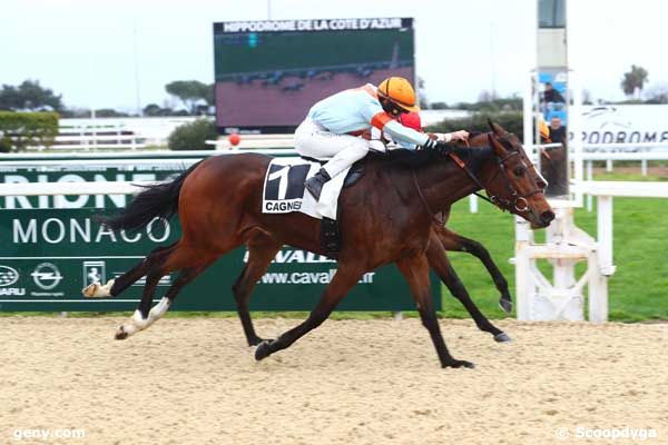 26/02/2024 - Cagnes-sur-Mer - Prix des Jacinthes : Arrivée