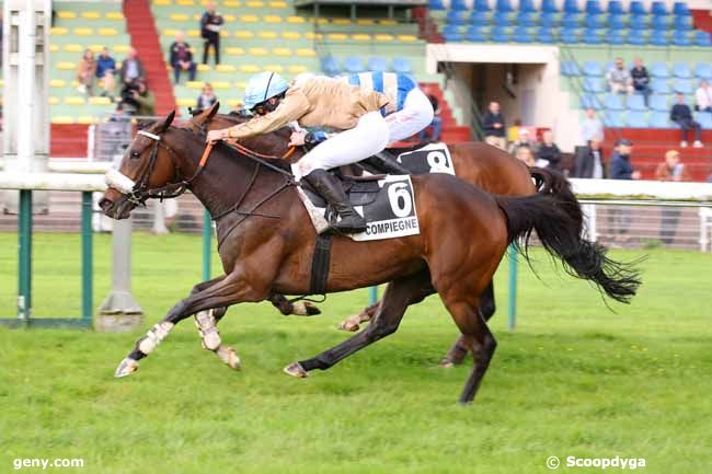 27/05/2024 - Compiègne - Prix Mélinoir : Arrivée