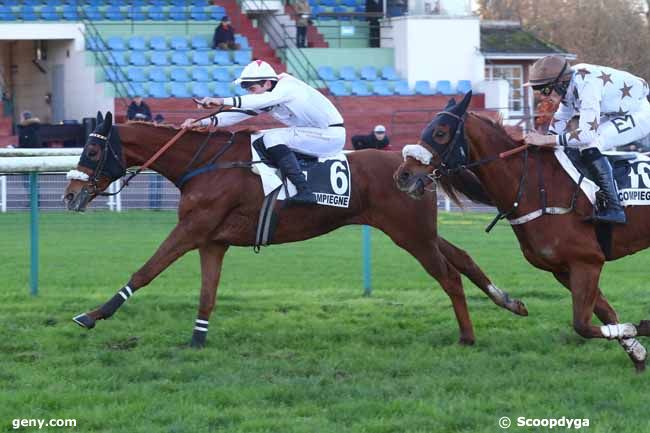 29/11/2024 - Compiègne - Prix Hamilton : Arrivée