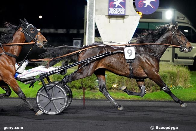 12/12/2024 - Vincennes - Prix de Cogolin : Arrivée