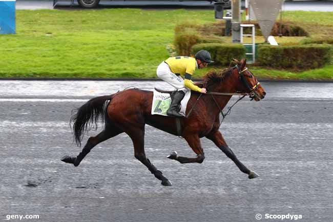 22/12/2024 - Vincennes - Prix de Montbrison : Arrivée