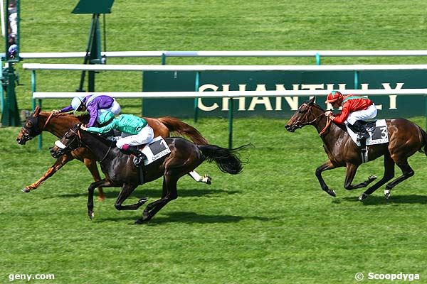 13/05/2008 - Chantilly - Prix de la Chapelle en Serval : Arrivée