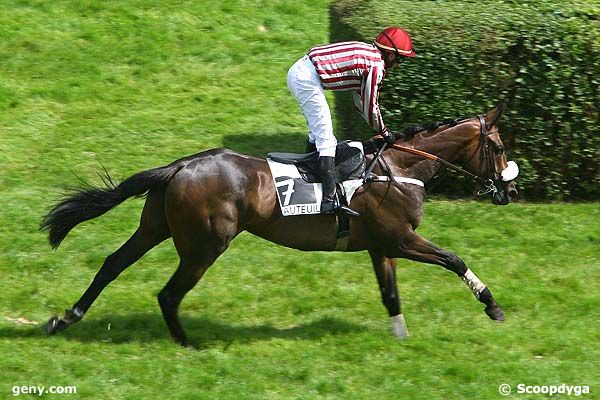 30/05/2008 - Auteuil - Prix Caldarium : Arrivée