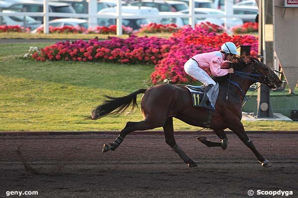 01/07/2008 - Vincennes - Prix Gauricus : Arrivée