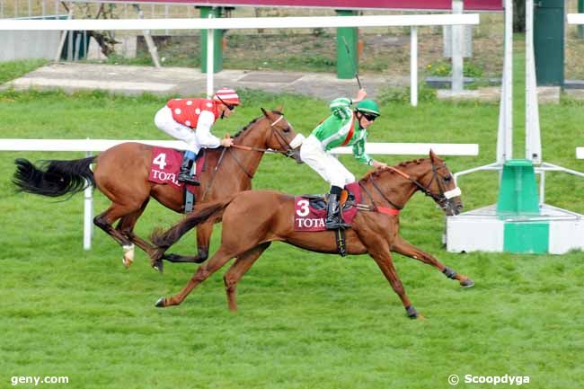 02/10/2009 - Saint-Cloud - Qatar Total French Arabian Breeders Challenge : Arrivée