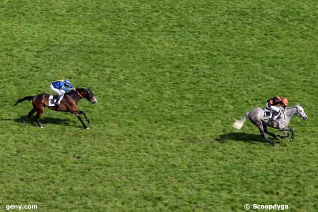 18/04/2010 - Auteuil - Prix l'Equipe (Prix Aristote) : Arrivée