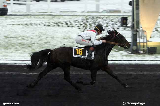 18/12/2010 - Vincennes - Prix de Langeac : Result