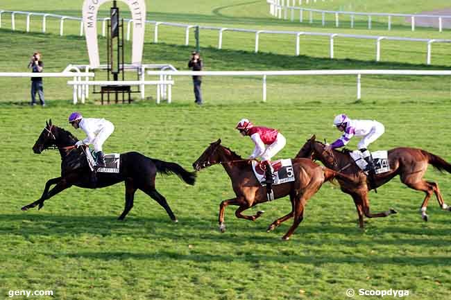 10/11/2011 - Maisons-Laffitte - Prix Finasseur : Arrivée