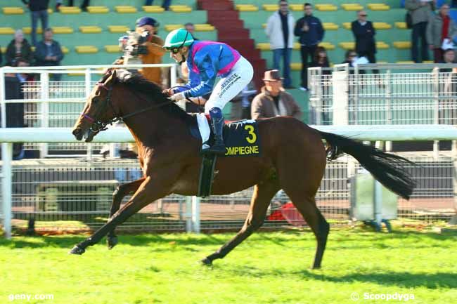 27/10/2014 - Compiègne - Prix de Balagny : Ankunft