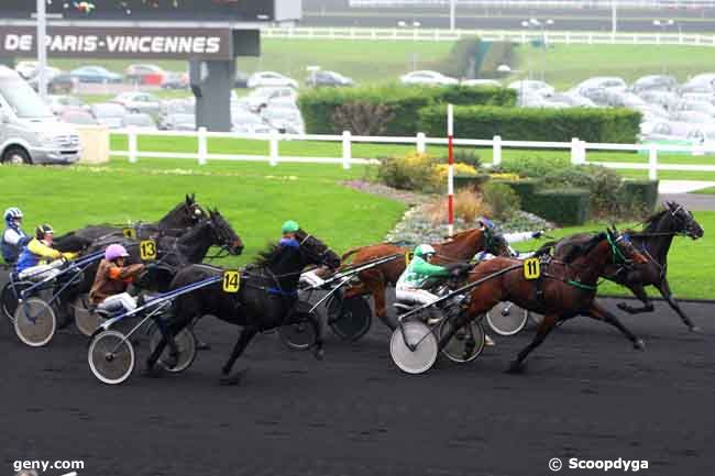 30/11/2014 - Vincennes - Prix Letrot Open des Régions - 4 ans : Arrivée