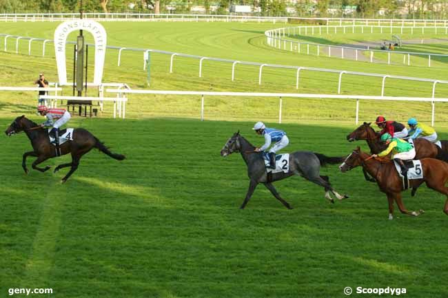 13/05/2016 - Maisons-Laffitte - Prix le Haar : Arrivée