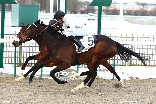 31/01/2019 - Chantilly - Prix du Rond Fille de l'Air : Arrivée