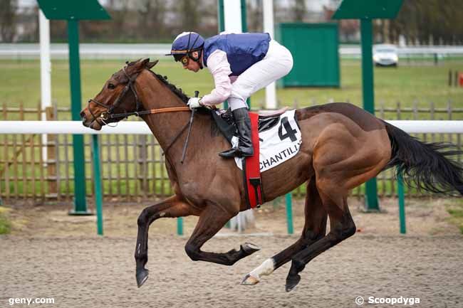 20/02/2020 - Chantilly - Prix du Layon Gaspard : Arrivée