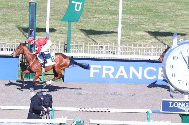 24/02/2022 - Chantilly - Prix de la Grande Glacière : Arrivée