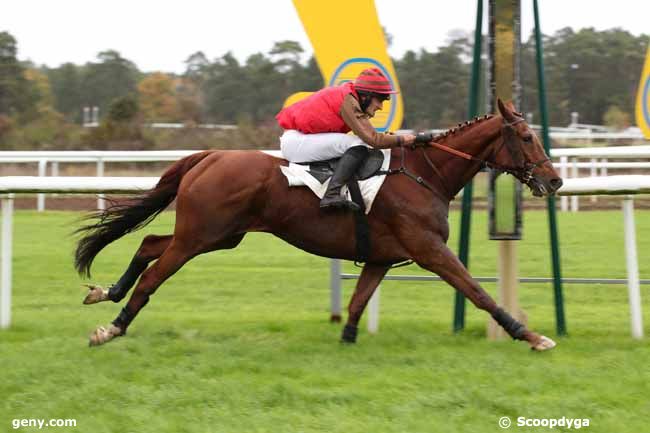 15/11/2022 - Fontainebleau - Prix Colonel Bernard Marlin : Arrivée