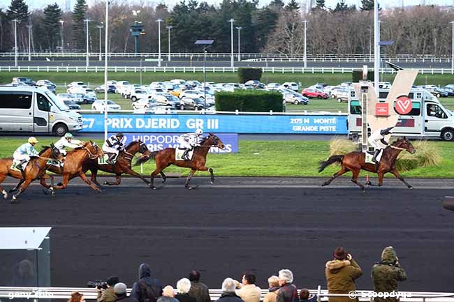 15/01/2023 - Vincennes - Prix Djérid : Arrivée