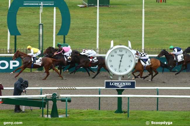 14/11/2023 - Chantilly - Prix de la Petite Singerie : Arrivée