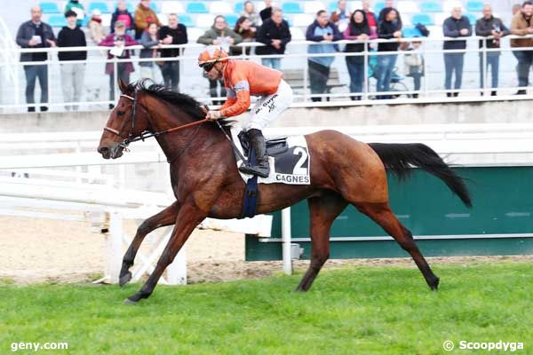 26/02/2024 - Cagnes-sur-Mer - Prix du Cheiron : Arrivée