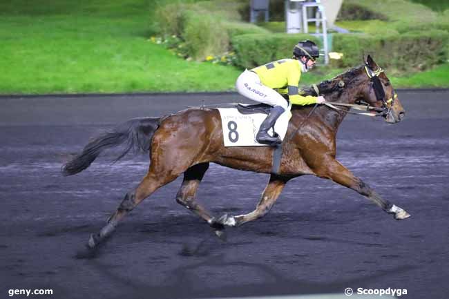 11/12/2024 - Vincennes - Prix Auguste François : Arrivée