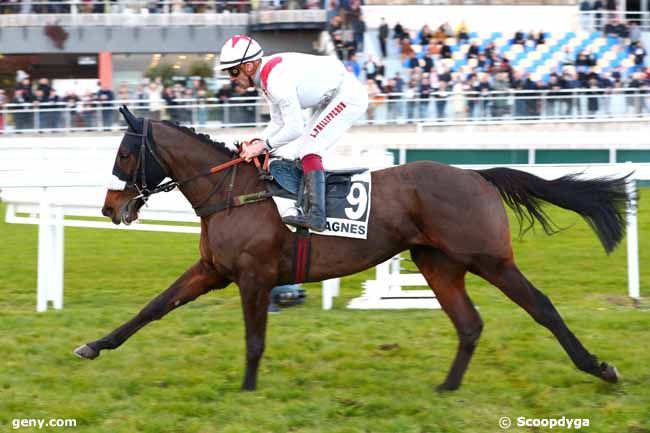 30/12/2024 - Cagnes-sur-Mer - Prix de la Bourgogne : Ankunft