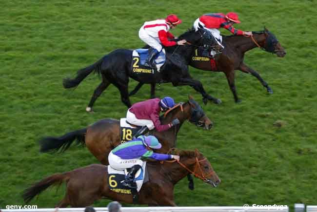 28/10/2008 - Compiègne - Prix de Rémy : Ankunft