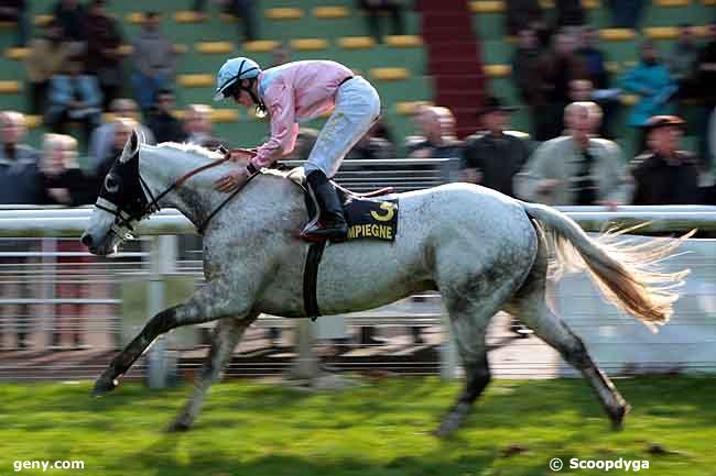 17/11/2009 - Compiègne - Prix de Margny sur Matz : Arrivée