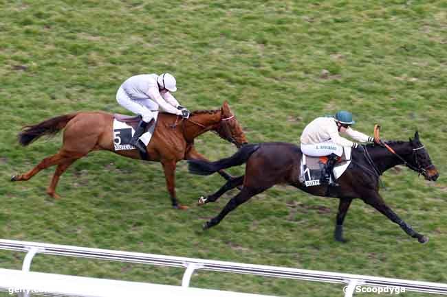 14/03/2010 - Auteuil - Prix Rabastens : Ankunft