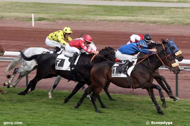 25/11/2010 - Marseille-Borély - Prix d'Avignon : Arrivée